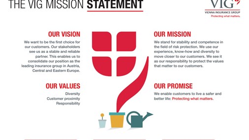 VIG mission statement